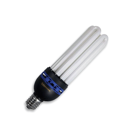Ampoule CFL 65W Croissance Pro Star 